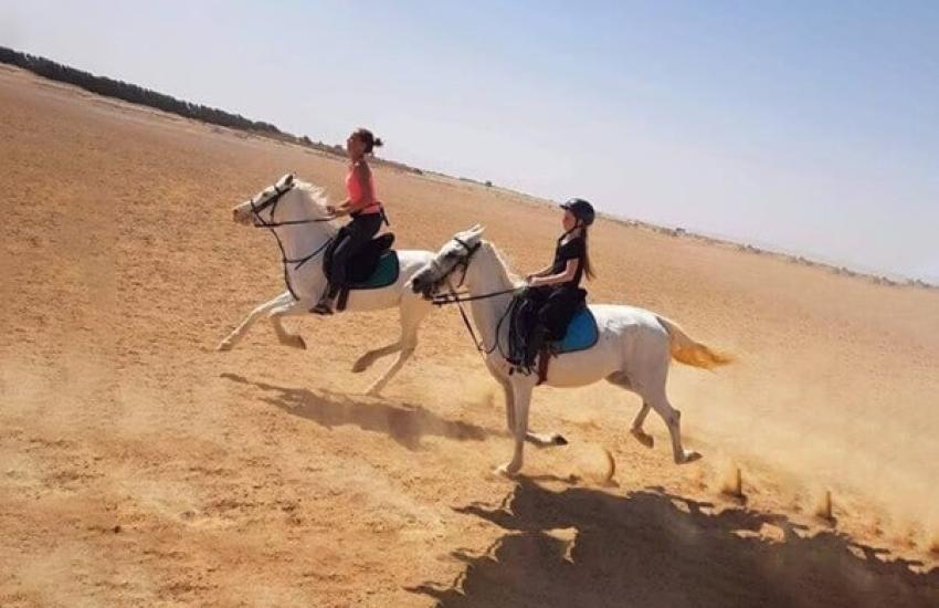 Sahara - Combined Safari