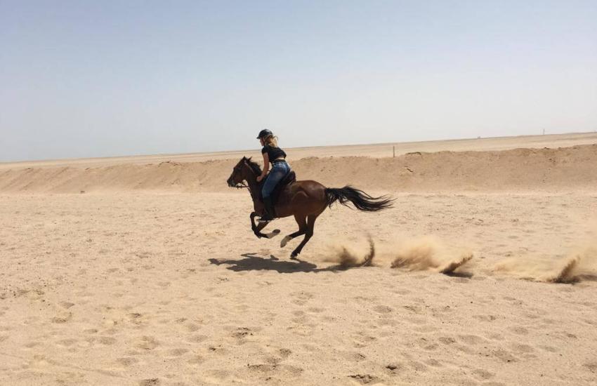 Sahara - Combined Safari