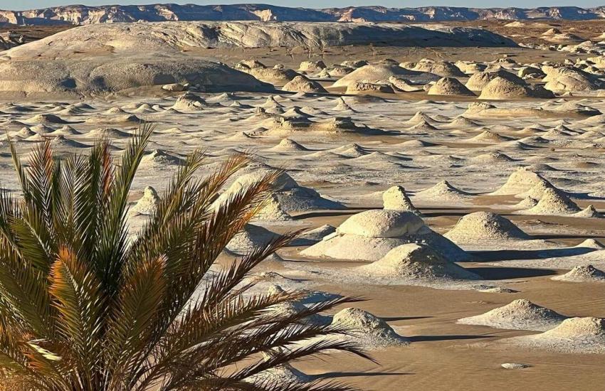 White Desert 2 Days and 1 Night